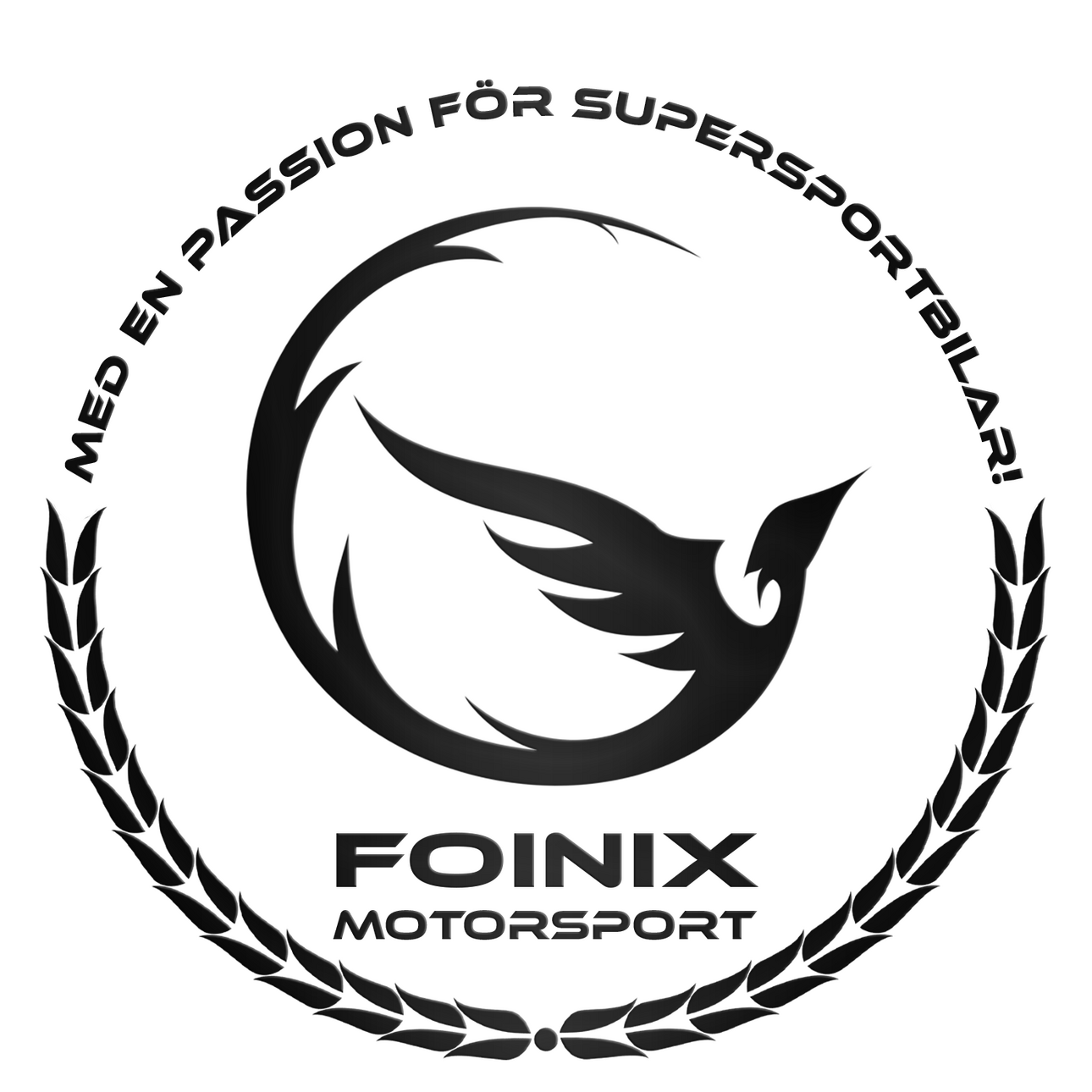 Foinix Motorsport – motoroptimering, diagnostik och köpkontroll i Skåne